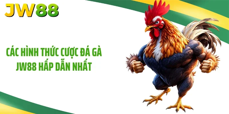 Các hình thức cược đá gà JW88 hấp dẫn nhất