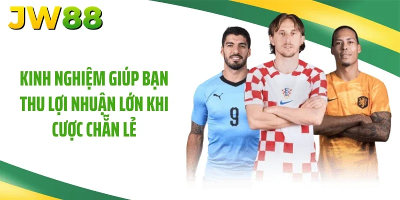 Kinh nghiệm giúp bạn thu lợi nhuận lớn khi cược chẵn lẻ